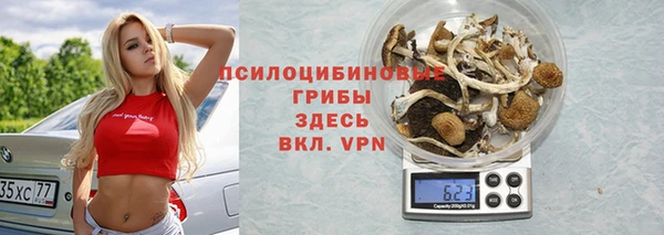 Альфа ПВП Алзамай